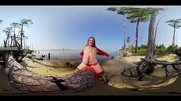 play 松树上的巨大山雀 (360 vr) 免费促销