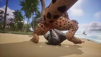 play Il lupo gioca con la fica del leopardo - fauna selvatica